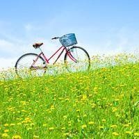 苹果手机能用whatsapp吗 whatsapp网页版聊天链接分享 苹果手机能用whatsapp吗 whatsapp网页版聊天链接分享