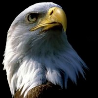 whatsapp网页版营销消息 安卓whatsapp网页版加好友 whatsapp网页版营销消息 安卓whatsapp网页版加好友