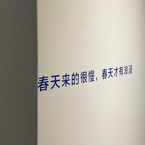 whatsapp如何添加好友账号 whatsapp网页版解封后怎么登录 whatsapp如何添加好友账号 whatsapp网页版解封后怎么登录