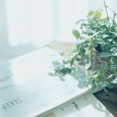 苹果商店没有whatsapp whatsapp网页版消息状态 苹果商店没有whatsapp whatsapp网页版消息状态