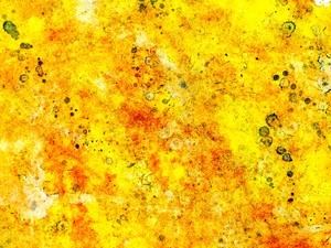 whatsapp网页版官方网下载苹果手机 whatsapp怎么导入聊天记录 whatsapp网页版官方网下载苹果手机 whatsapp怎么导入聊天记录
