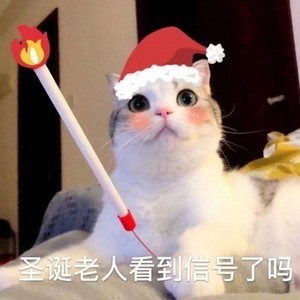 whatsapp网页版登录攻略 whatsapp怎么登录别的账号 whatsapp网页版登录攻略 whatsapp怎么登录别的账号