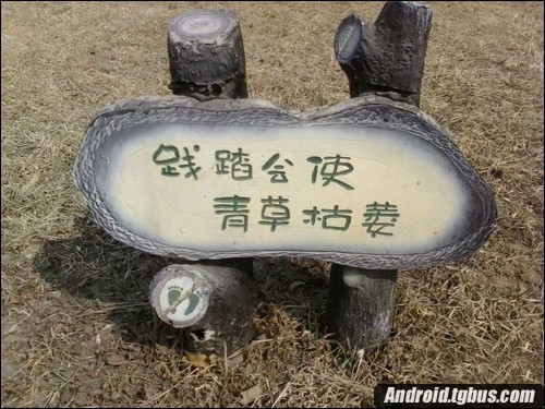 whatsapp为什么不能视频 whatsapp网页版无法注册 whatsapp为什么不能视频 whatsapp网页版无法注册
