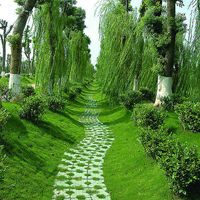 whatsapp聊天背景图 whatsapp语音翻译功能 whatsapp聊天背景图 whatsapp语音翻译功能