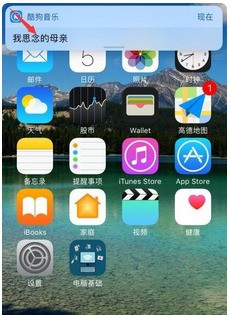 电脑版whatsapp网页版登陆不了 whatsapp怎么看已读 