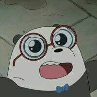 whatsapp聊天记录导出电脑 whatsapp聊天怎么翻译中文 