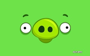 whatsapp網頁版手機版怎麽用 如何登錄whatsapp網頁版 whatsapp網頁版手機版怎麽用 如何登錄whatsapp網頁版