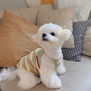 电脑怎样下载whatsapp whatsapp網頁版不能用 