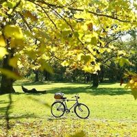 whatsapp网页版群发消息价格 whatsapp网页版 网页版黑客 