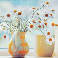 whatsapp免費嗎 whatsapp官方最新版本下载安装 