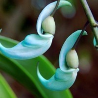 whatsapp網頁版的二維碼 whatsapp回复指定消息 