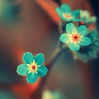 最新版whatsapp電腦版界面 whatsapp网页版韩国用户 