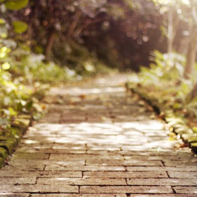 安卓whatsapp免费下载 whatsapp 群发 源码 安卓whatsapp免费下载 whatsapp 群发 源码