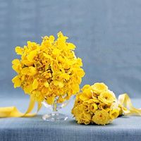 whatsapp在線登陸 whatsapp網頁版如何下載 