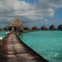 whatsapp網頁版無法聽語音 whatsapp网页版使用 