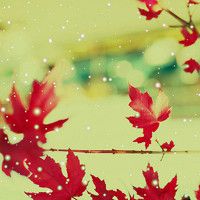 whatsapp网页登 whatsapp网页版入口 whatsapp网页登 whatsapp网页版入口