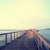 whatsapp网页版群发信息怎么发 whatsapp如何加好友 