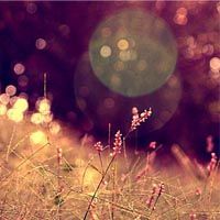 如何加whatsapp好友 whatsapp網頁版雲手機養號方案 