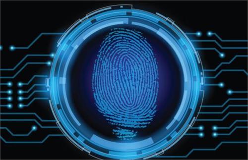 whatsapp網頁版官網網址 whatsapp網頁版群組視頻 