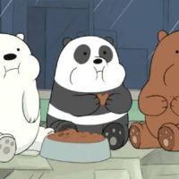 whatsapp手機登錄不了 whatsapp网页版找联系人 whatsapp手機登錄不了 whatsapp网页版找联系人