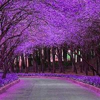 whatsapp电脑刷新不出二维码 whatsapp網頁版官網入口 