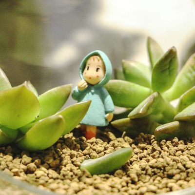 whatsapp網頁版多少好友怎麽看 whatsapp记录从安卓到iphone whatsapp網頁版多少好友怎麽看 whatsapp记录从安卓到iphone