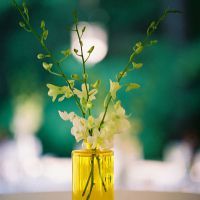 whatsapp 消息发不出去 whatsapp网页版二维码怎么保存 