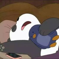 國外聊天軟件whatsapp下載最新版 俄羅斯iphone13視頻 