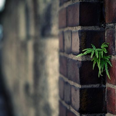 whatsapp壹直正在檢索登錄信息 whatsapp網頁版安卓版下載安裝 