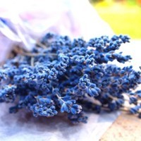 whatsapp網頁版手機官網 whatsapp網頁版官網最新版本 