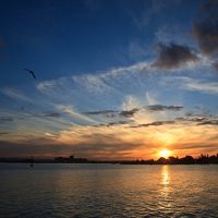 whatsapp网页版一直闪 whatsapp在線是什麽意思 whatsapp网页版一直闪 whatsapp在線是什麽意思