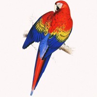 whatsapp中文网页版下载 whatsapp 群成员 发言设置 