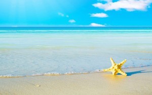 whatsapp手機號註銷了 whatsapp網絡故障 