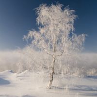 whatsapp網頁版非官方軟件 whatsapp網頁版聊天  whatsapp網頁版非官方軟件 whatsapp網頁版聊天