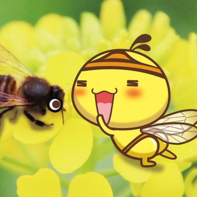 whatsapp软件有什么功能 whatsapp怎么扫描加好友 whatsapp软件有什么功能 whatsapp怎么扫描加好友