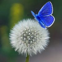 whatsapp网页版经常白屏 whatsapp網頁版截圖登錄 whatsapp网页版经常白屏 whatsapp網頁版截圖登錄