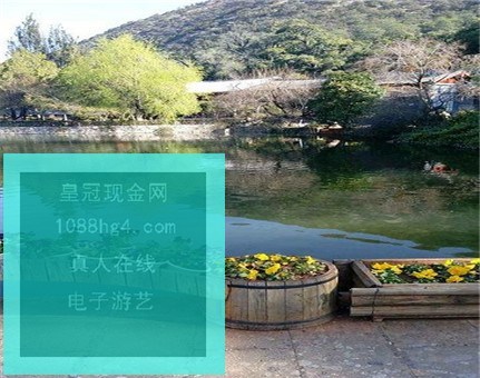 whatsapp網頁版的郵箱地址 whatsapp對話記錄恢復  whatsapp網頁版的郵箱地址 whatsapp對話記錄恢復