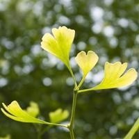 whatsapp网页版登陆后弹出 whatsapp给客户发信息后 