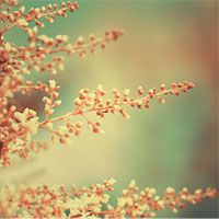 whatsapp網頁版該怎麽登錄 免費whatsapp網頁版翻譯軟件  whatsapp網頁版該怎麽登錄 免費whatsapp網頁版翻譯軟件