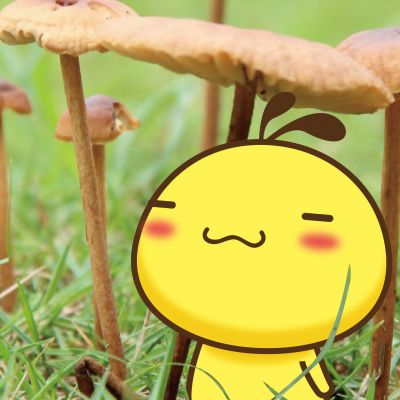 whatsapp視頻有美顏嗎 whatsapp聊天機器人 