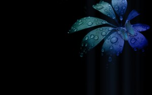 whatsapp不封群組的絕招 如何打电话注册whatsapp网页版 whatsapp不封群組的絕招 如何打电话注册whatsapp网页版
