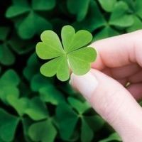 whatsapp網頁版賬號解封 whatsapp網頁版安卓版使用 whatsapp網頁版賬號解封 whatsapp網頁版安卓版使用