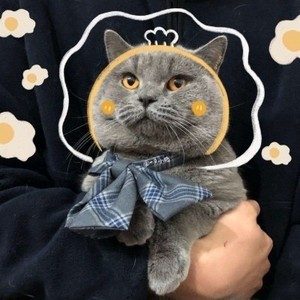 whatsapp网页版網頁版 whatsapp網頁版如何添加好友 whatsapp网页版網頁版 whatsapp網頁版如何添加好友