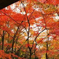 whatsapp网页版網頁版 whatsapp網頁版如何添加好友 whatsapp网页版網頁版 whatsapp網頁版如何添加好友