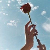 whatsapp好友上限 whatsapp好友頭像沒了 