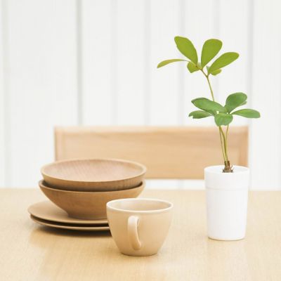 whatsapp已讀不回怎麽看 如何在whatsapp做外貿 