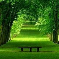 whatsapp下載安裝最新 whatsapp怎麽看好友動態 whatsapp下載安裝最新 whatsapp怎麽看好友動態