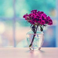 whatsapp在线登入 whatsapp網頁版群發插件 whatsapp在线登入 whatsapp網頁版群發插件