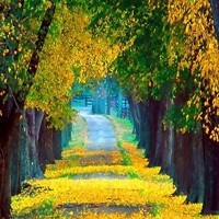 whatsapp安卓手机下载2025最新版本 whatsapp 網頁版 現在無法連接至新設備 