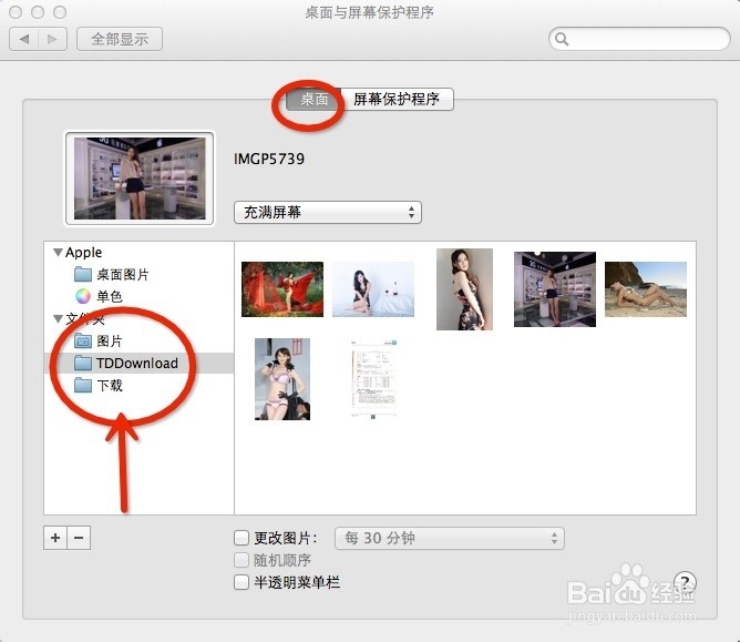 whatsapp網頁版登錄入口 whatsapp网页版营销系统 